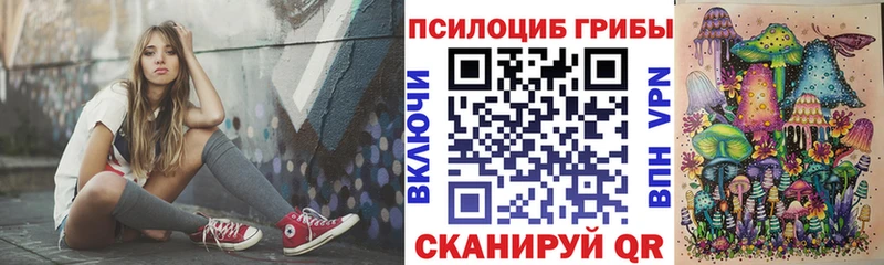 цена   Снежинск  Галлюциногенные грибы Psilocybe 
