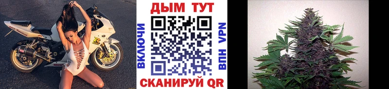 Шишки марихуана Bruce Banner блэк спрут сайт Снежинск